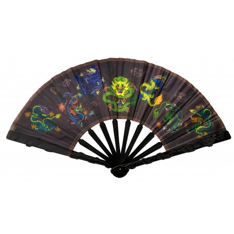 Tai Chi Fan