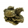 Dragonhead Turtle